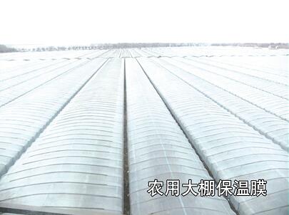 母料在吹膜-工業(yè)、農(nóng)業(yè)、包裝中的運(yùn)用